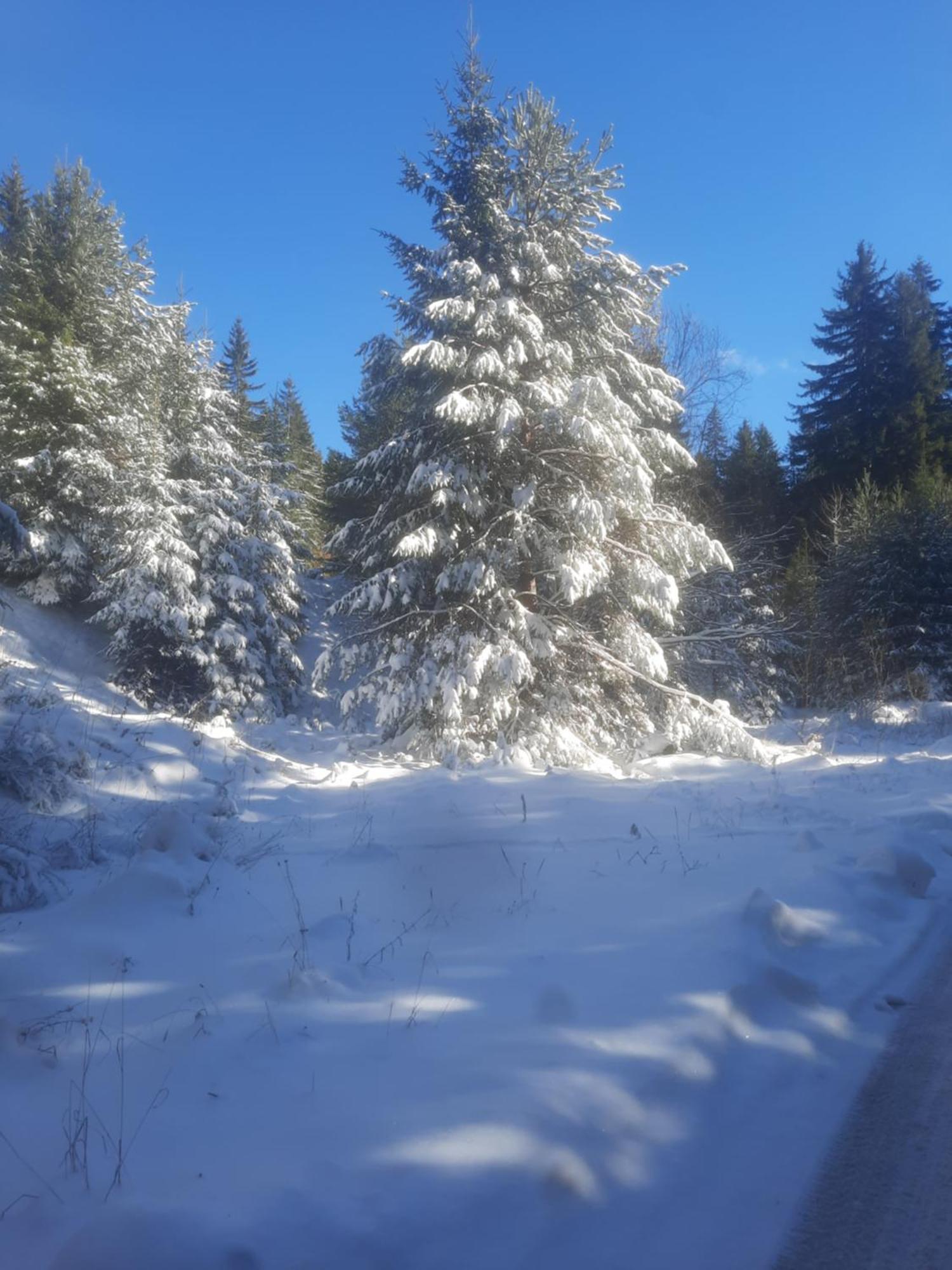 Семеен Хотел Кристал Smolyan Extérieur photo